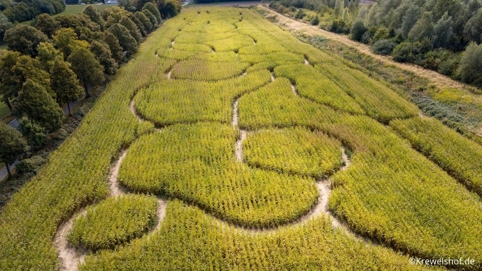 Maislabyrinth
© Krewelshof