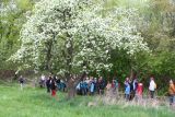 Streuobstwiesentour mit Pflanzen- und Samenbörse