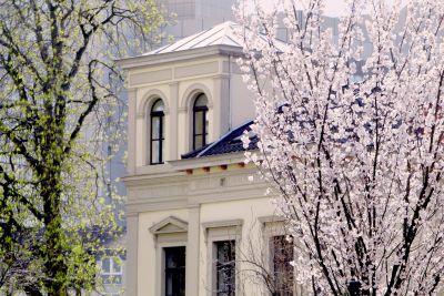 Frühling Altstadt
© M. Sondermann - Bundesstadt Bonn