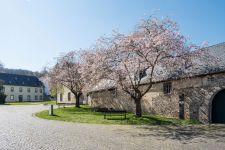 BTHVN-Rundgang | Kloster Heisterbach
© Beethoven Jubiläums GmbH