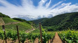 Weinberge Im Ahrtal
© B.Vianden - Tourismus & Congress GmbH