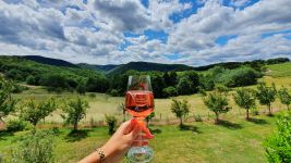 Weinberge mit Weinglas im Ahrtal
© B.Vianden - Tourismus & Congress GmbH