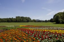 Rheinaue
© Michael Sondermann - Bundesstadt Bonn