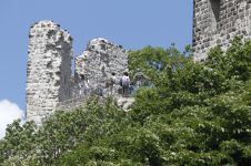 Drachenfels
© Michael Sondermann - Bundesstadt Bonn