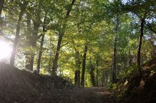 Natursteig Bei Bödingen
© Naturregion Sieg