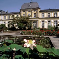 Poppelsdorfer Schloss
© M. Sondermann - Bundesstadt Bonn