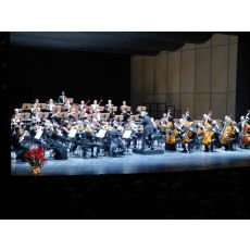 Beethoven Orchester Bonn
© Felix Von Hagen