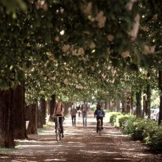 Mit dem Rad unterwegs
© M. Sondermann - Bundesstadt Bonn