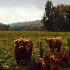 Herbst
© Naturregion Sieg